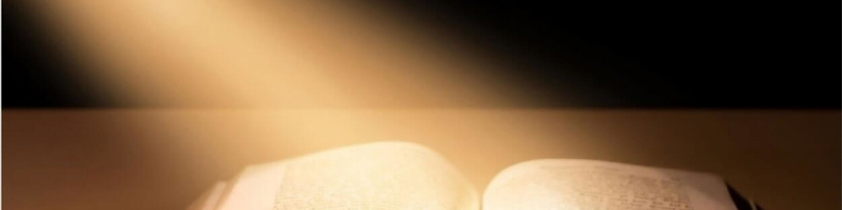 Bulletins and Trinity Today for Worship
